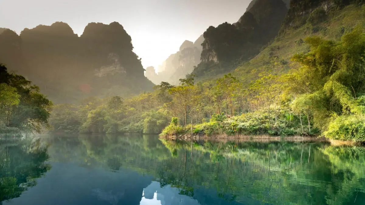 科技高标准智能